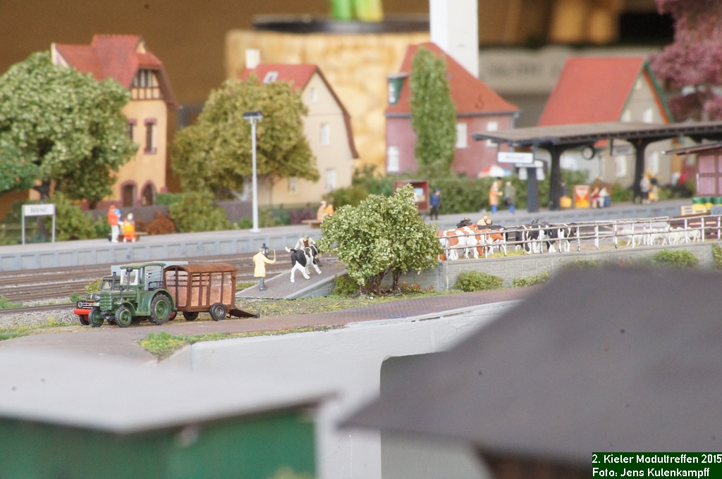 053 Holstedt Viehverladung.JPG